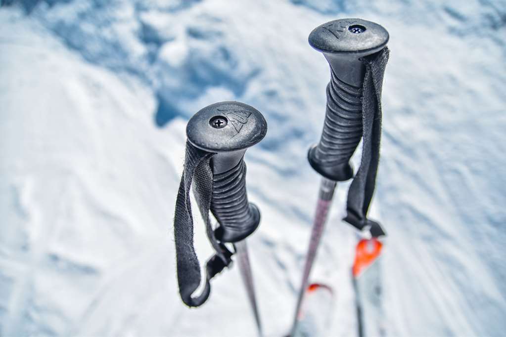 Historic Hotel Du Pillon Les Diablerets Facilidades foto